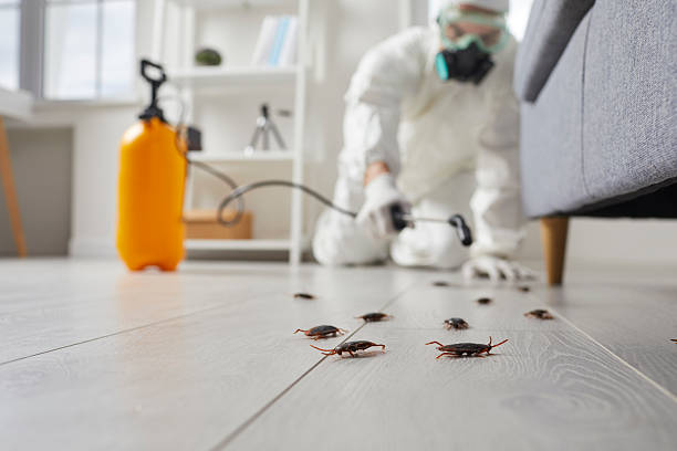 Post-Treatment Bed Bug Interceptor Monitoring in West Lafayette